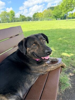 Meet your Posher, Reese